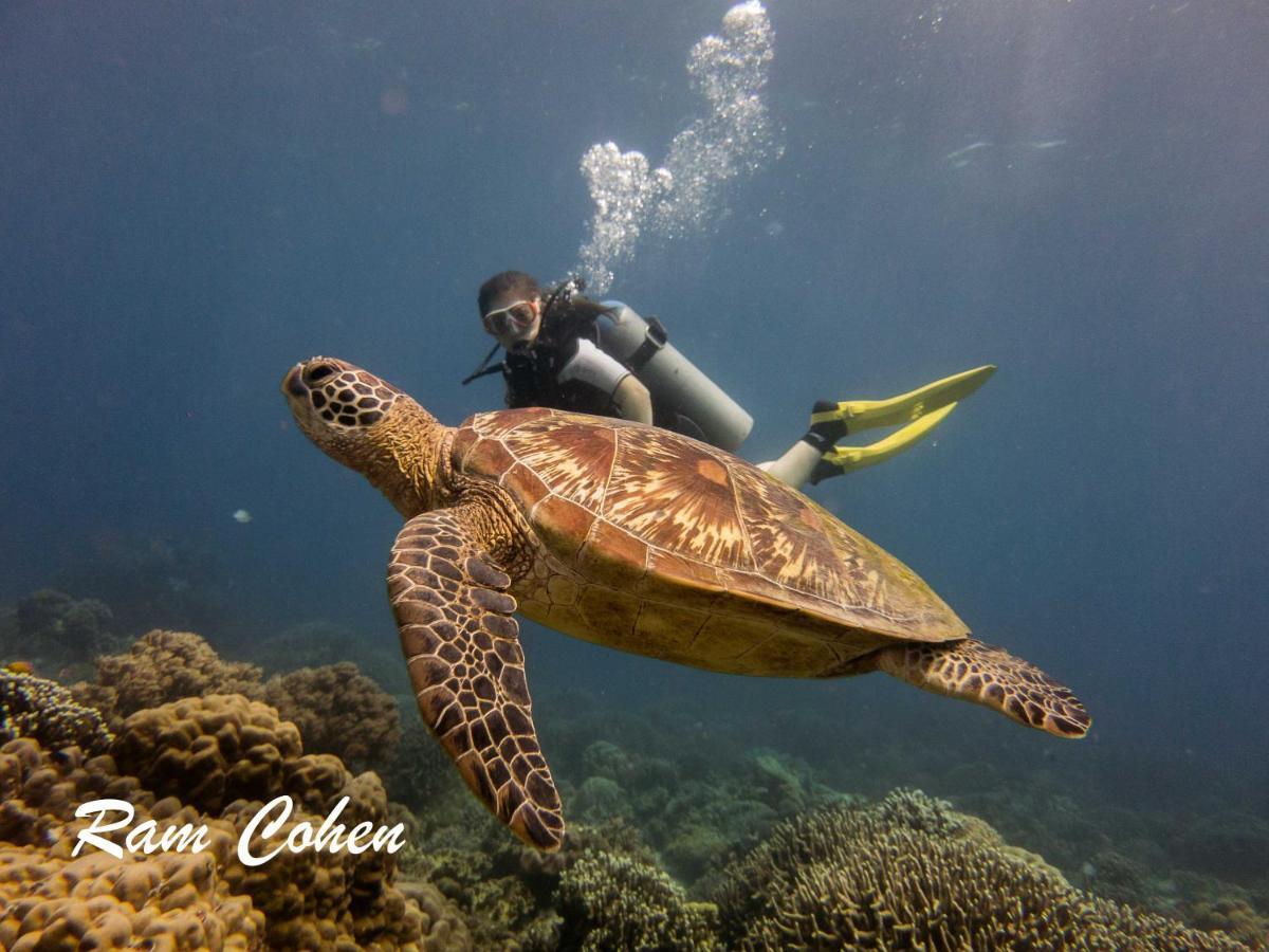 Lavanya Beach And Dive Resort Zamboanguita  Exteriör bild